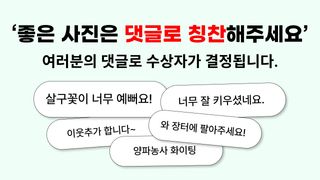 팜모닝 이벤트안내님의 자유주제 · 사진전 작성글 사진