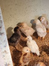 팜모닝 자유주제·사진전 게시글 이미지