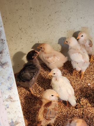 성사동이쁜이님의 자유주제 · 사진전 작성글 사진