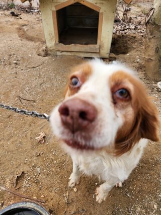 성사동이쁜이님의 자유주제 · 사진전 작성글 사진