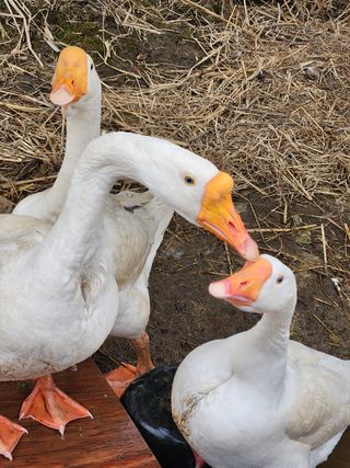 성사동이쁜이님의 자유주제 · 사진전 작성글 사진