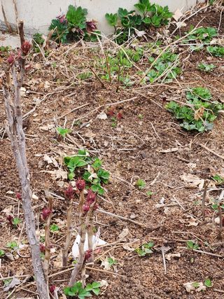 성사동이쁜이님의 자유주제 · 사진전 작성글 사진