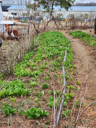 성사동이쁜이님의 자유주제 · 사진전 작성글 사진
