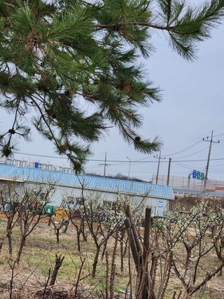 성사동이쁜이님의 자유주제 · 사진전 작성글 사진