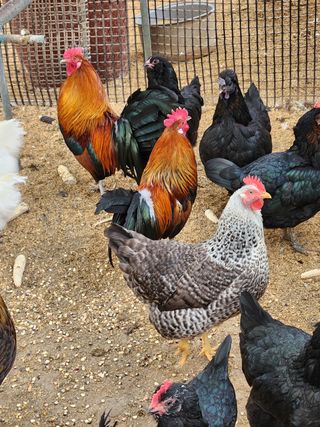 성사동이쁜이님의 자유주제 · 사진전 작성글 사진