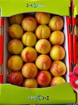 팜모닝 자유주제·사진전 게시글 이미지