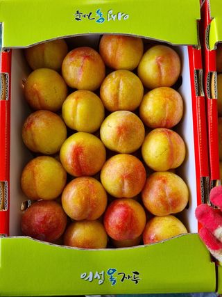 최영환님의 자유주제 · 사진전 작성글 사진