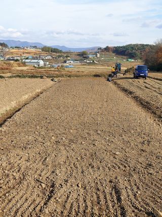 두릅나무8641님의 자유주제 · 사진전 작성글 사진