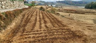 두릅나무8641님의 자유주제 · 사진전 작성글 사진