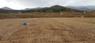 두릅나무8641님의 자유주제 · 사진전 작성글 사진