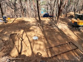 두릅나무8641님의 자유주제 · 사진전 작성글 사진