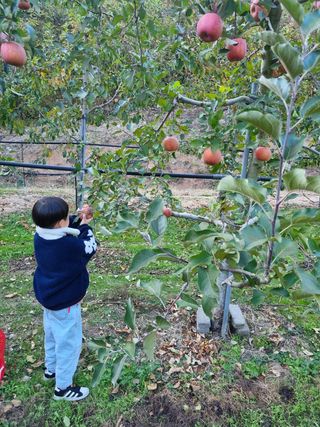 작은희망님의 자유주제 · 사진전 작성글 사진