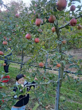 작은희망님의 자유주제 · 사진전 작성글 사진