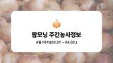 팜모닝 양파·농사길잡이 게시글 이미지