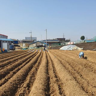 신기연님의 자유주제 · 사진전 작성글 사진
