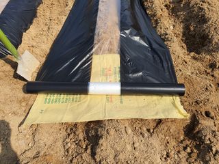 신기연님의 자유주제 · 사진전 작성글 사진