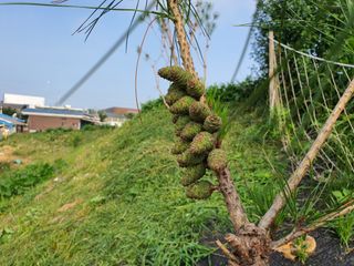 신기연님의 자유주제 · 사진전 작성글 사진