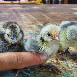 신기연님의 자유주제 · 사진전 작성글 사진