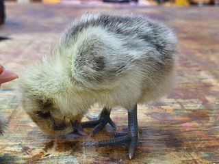 신기연님의 자유주제 · 사진전 작성글 사진