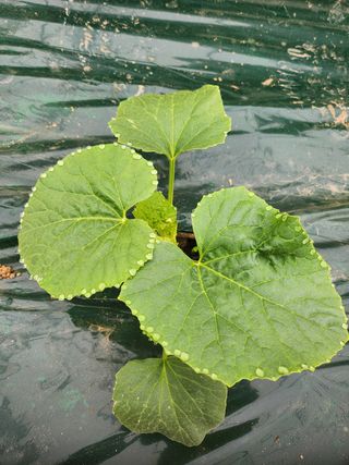 고철규님의 자유주제 · 자유게시판 작성글 사진