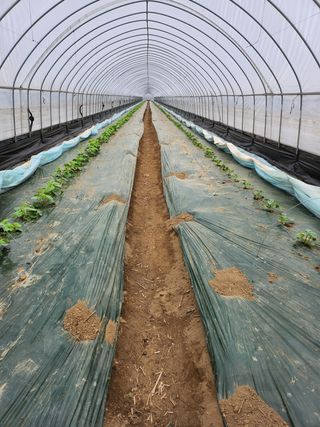 고철규님의 자유주제 · 자유게시판 작성글 사진