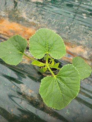 고철규님의 자유주제 · 자유게시판 작성글 사진