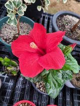 팜모닝 자유주제·사진전 게시글 이미지