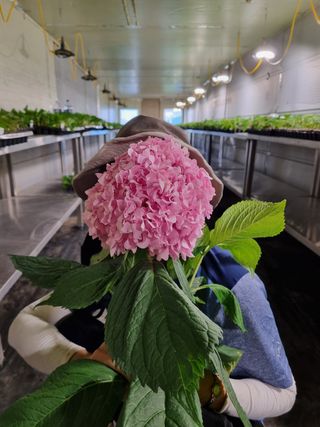 행복한나무농장님의 자유주제 · 사진전 작성글 사진