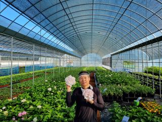 행복한나무농장님의 자유주제 · 사진전 작성글 사진