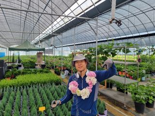 행복한나무농장님의 자유주제 · 사진전 작성글 사진