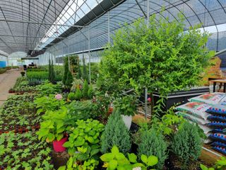 행복한나무농장님의 자유주제 · 사진전 작성글 사진