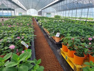 행복한나무농장님의 자유주제 · 사진전 작성글 사진