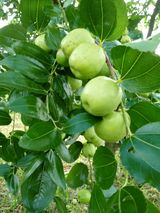 팜모닝 자유주제·사진전 게시글 이미지