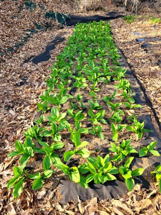 유미선님의 자유주제 · 자유게시판 작성글 사진