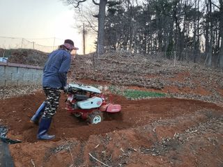 유미선님의 자유주제 · 자유게시판 작성글 사진