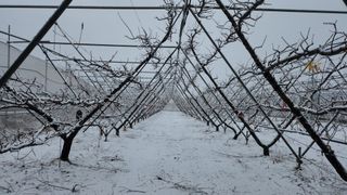 임춘식님의 자유주제 · 사진전 작성글 사진