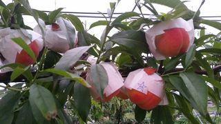 임춘식님의 자유주제 · 사진전 작성글 사진