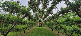 임춘식님의 자유주제 · 사진전 작성글 사진