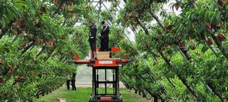 임춘식님의 자유주제 · 사진전 작성글 사진