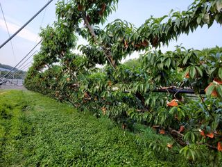 임춘식님의 자유주제 · 사진전 작성글 사진