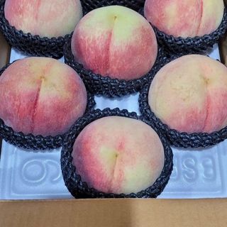 임춘식님의 자유주제 · 사진전 작성글 사진