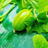 팜모닝 자유주제·사진전 게시글 이미지