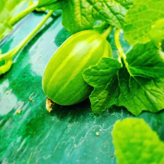 석나원님의 자유주제 · 사진전 작성글 사진