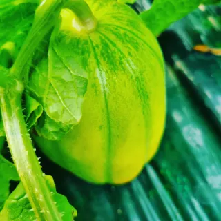 석나원님의 자유주제 · 사진전 작성글 사진