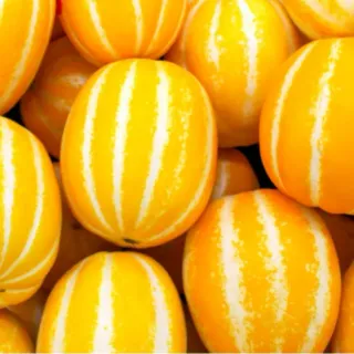 석나원님의 자유주제 · 사진전 작성글 사진