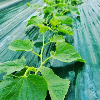 석나원님의 자유주제 · 사진전 작성글 사진