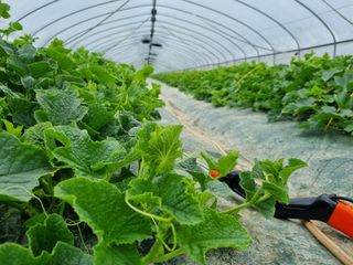 석나원님의 자유주제 · 사진전 작성글 사진