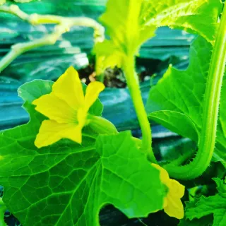 석나원님의 자유주제 · 사진전 작성글 사진