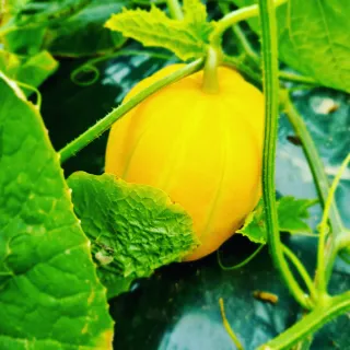 석나원님의 자유주제 · 사진전 작성글 사진