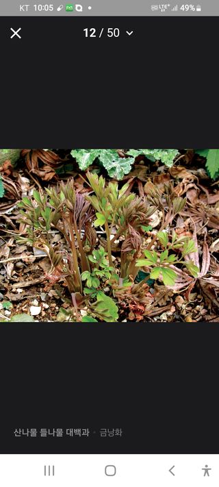 알 수 없음님의 기타작물 · 자유게시판 작성글 사진